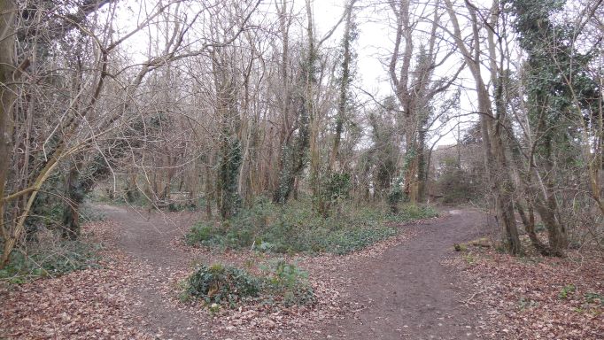 Hartley Kent: Gorse Wood