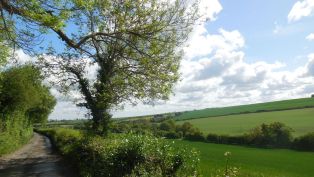 Hartley Kent: Grange Lane