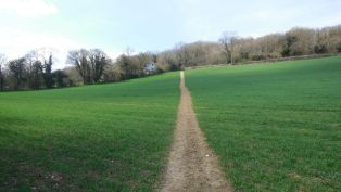 Hartley Kent: Hillside Grange Lane