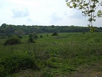 Hartley Wood - former tip site
