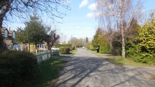 Hartley Kent: Gorse Way