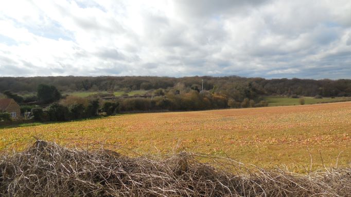 Hartley Kent: Hartley Wood from Longfield (Mar 2019)