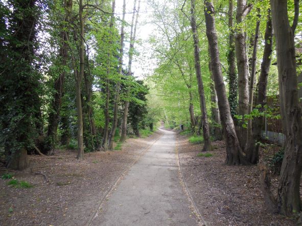 Hartley Kent: Gorsewood Road Entrance to Hartley Wood